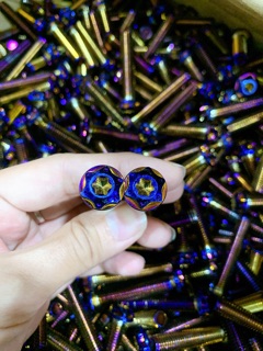 Ốc 8ly Salaya dẹp