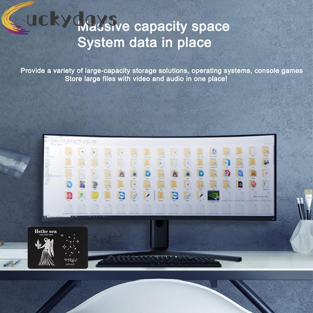 LUCKYDAYS 2.5 SATA III Internal SSD Solid State Drive Virgo Pattern for Computer PC | BigBuy360 - bigbuy360.vn