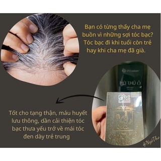Hà thủ ô viên DVi nature