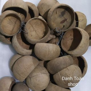 10 CÁI GÁO DỪA CHO GÀ ĂN, UỐNG NƯỚC