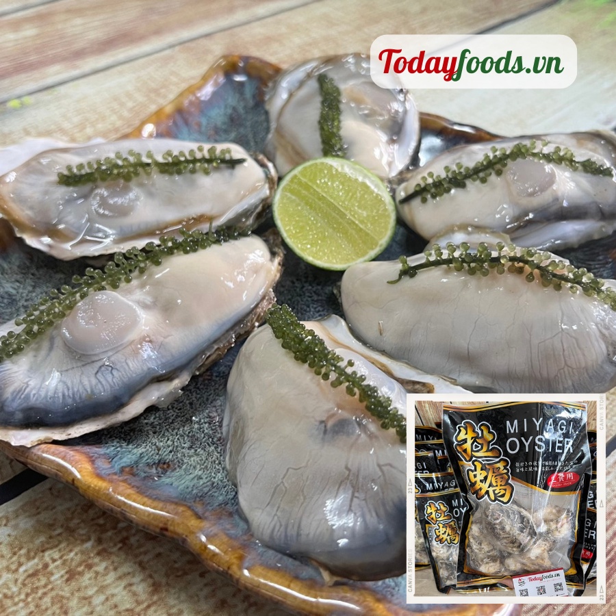 [CHỈ GIAO HCM] Hàu Nhật Bản Miyagi - Hàu chuẩn Sashimi 2L (5-6 con) 1KG Todayfoods