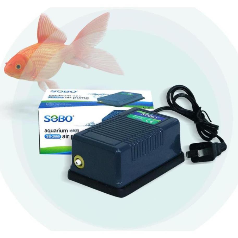 Máy Sủi Sục Tạo Khí oxy Cho Hồ Bể Cá Cảnh Mini Sobo