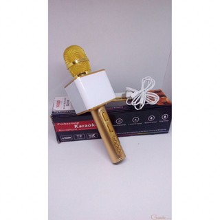 Micro Karaoke kiêm Loa Bluetooth SD-08, SD-17, SD-18