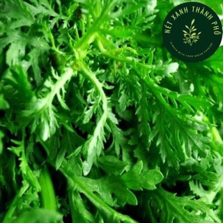 Hạt giống rau Tần Ô, Rau Cúc tẻ