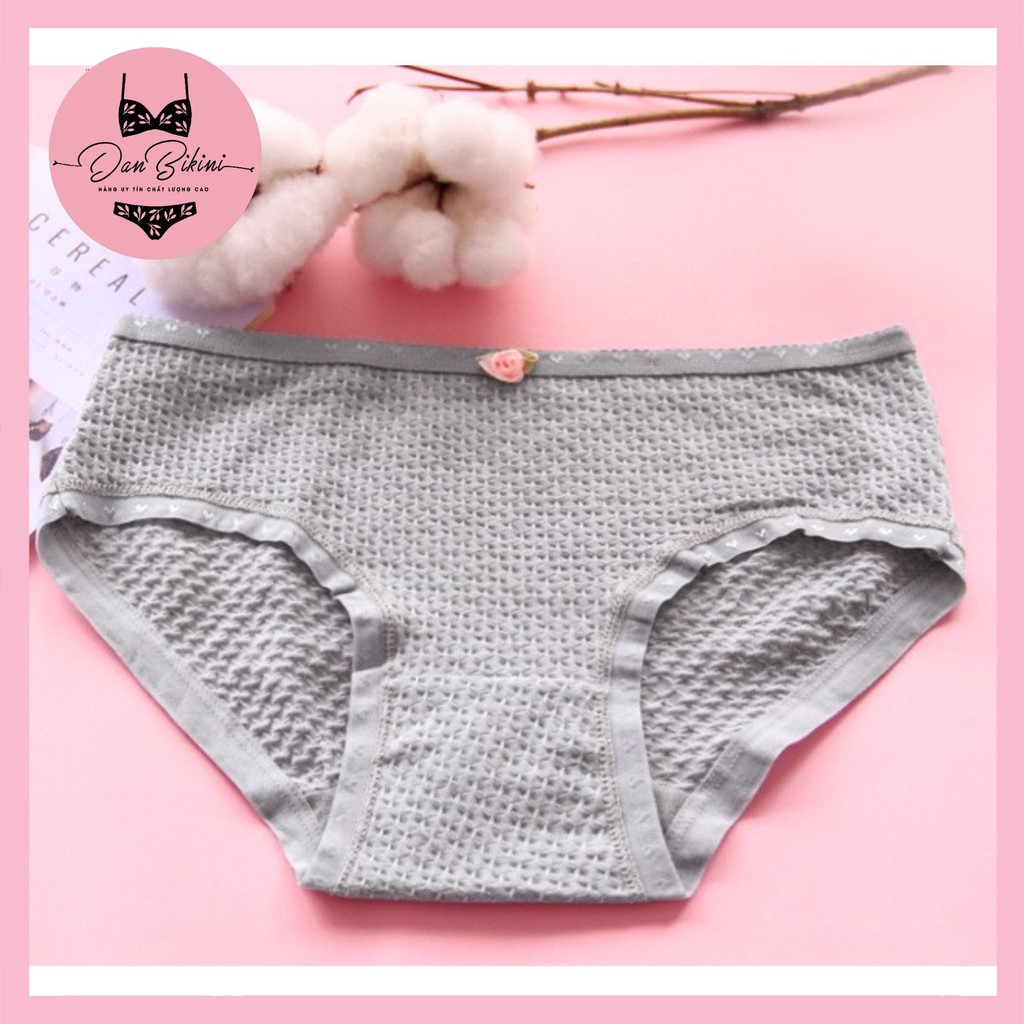 Quần Lót Nữ Cotton kháng khuẩn thoáng mát được chọn màu mã 9040 | BigBuy360 - bigbuy360.vn