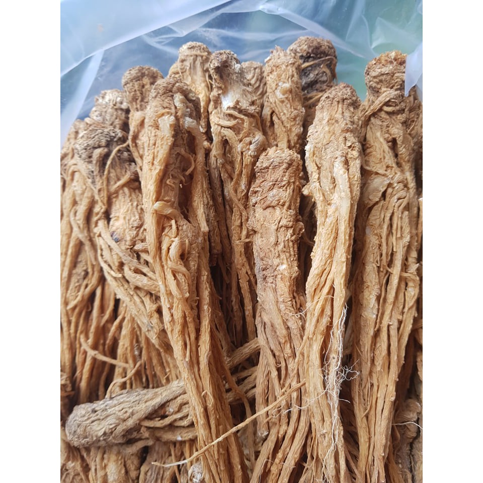 1kg sâm đương quy khô