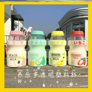 bình nước sữa chua cute hột me