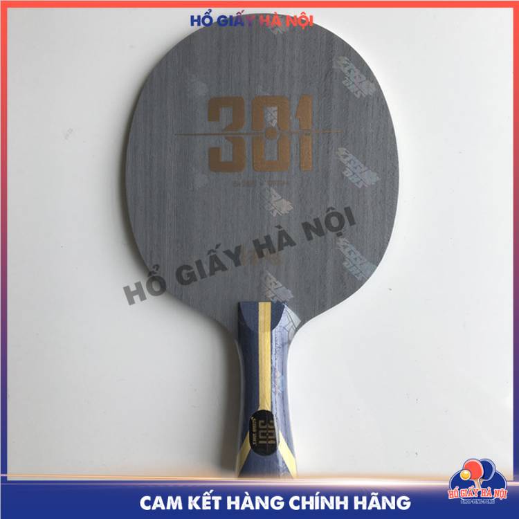 Cốt Vợt Bóng Bàn DHS 301