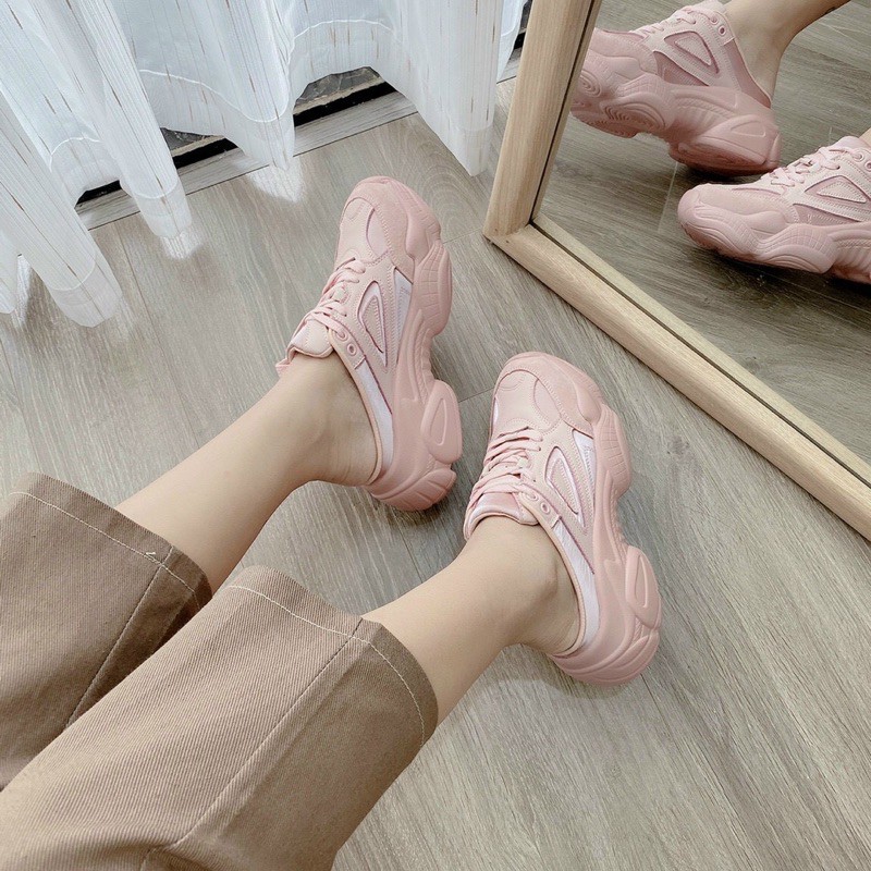 Sục hồng đế bánh mì 5cm Xiaogird hộp đẹp | BigBuy360 - bigbuy360.vn