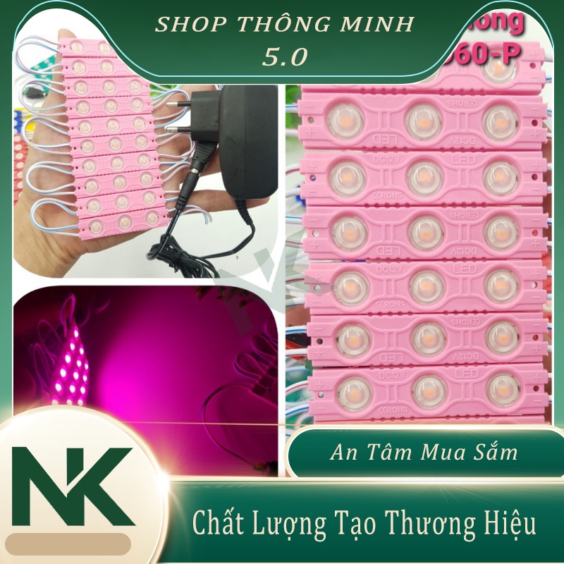 Bộ Đèn Led Chịu Nước 12V Thủy Sinh ❤️Đèn Led Bể Cá❤️Đèn Báo Sự Cố ❤️Led Trang Trí Nhà Cửa Siêu Bền