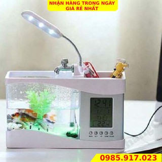 🍒Bể Cá Mini🍒 Hồ Cá Cảnh Mini Kiêm Đồ Hồ Để Bàn Siêu Đẹp