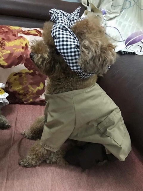 Quần áo cho thú cưng - bộ 2 lúa bà ba