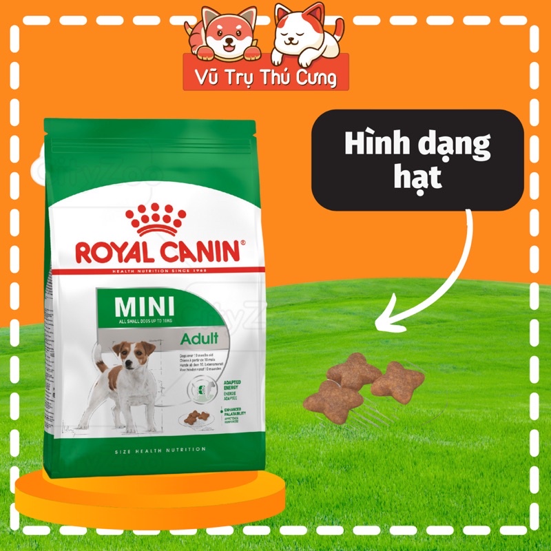 Hạt cho chó trưởng thành Royal Canin Mini Adult