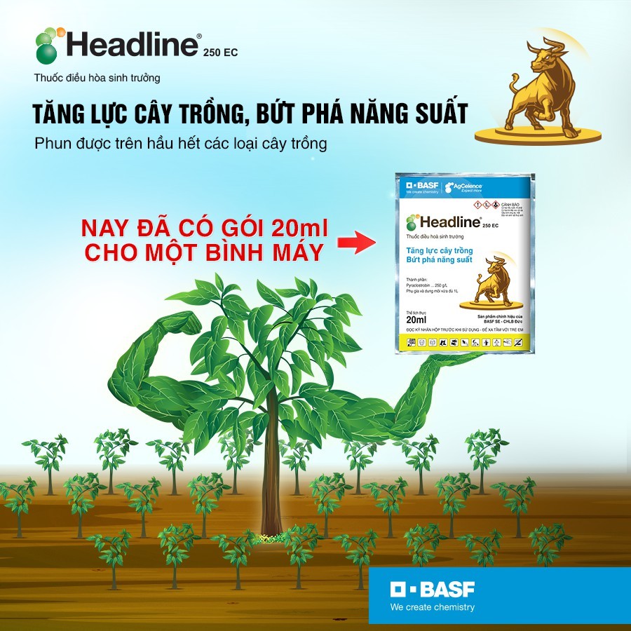 Thuốc điều hòa sinh trưởng Headline 250ec