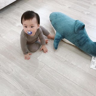 Bộ bộ khủng long cho bé