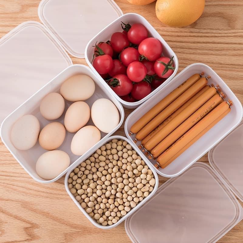 Combo 4 hộp trữ đông tủ lạnh nhiều size Hộp đựng thực phẩm nhựa an toàn có nắp đậy