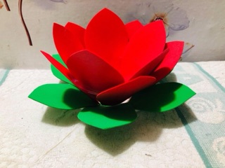 combo 50 ĐÈN HOA ĐĂNG thả nước, trang trí, múa...