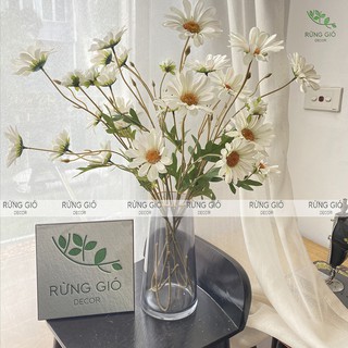 Hoa cúc trắng cánh to gồm 5 bông và 1 nụ cành dài 80cm, hoa giả trang trí