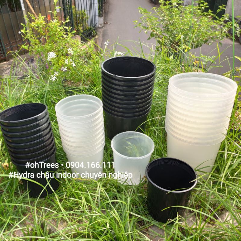 Combo 5 chậu trồng cây indoor chuyên nghiệp Hydra