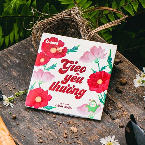 Phong bao hạt giống Gieo Yêu thương - Hạt hoa Cosmos