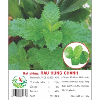 Hạt giống rau húng chanh 0.2G