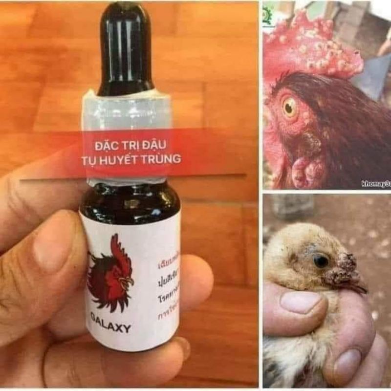 Thuốc Trị Đậu Gà, Nhiễm Trùng Máu, Tụ Huyết Trùng Hiệu Galaxy Cho Gà Đá, Lọ 10ml