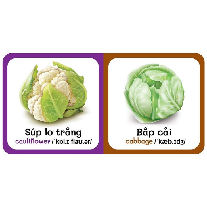 Sách - Từ Điển Bằng Hình Đầu Tiên Của Bé - Vegetables - Rau Củ (Song Ngữ Anh - Việt)