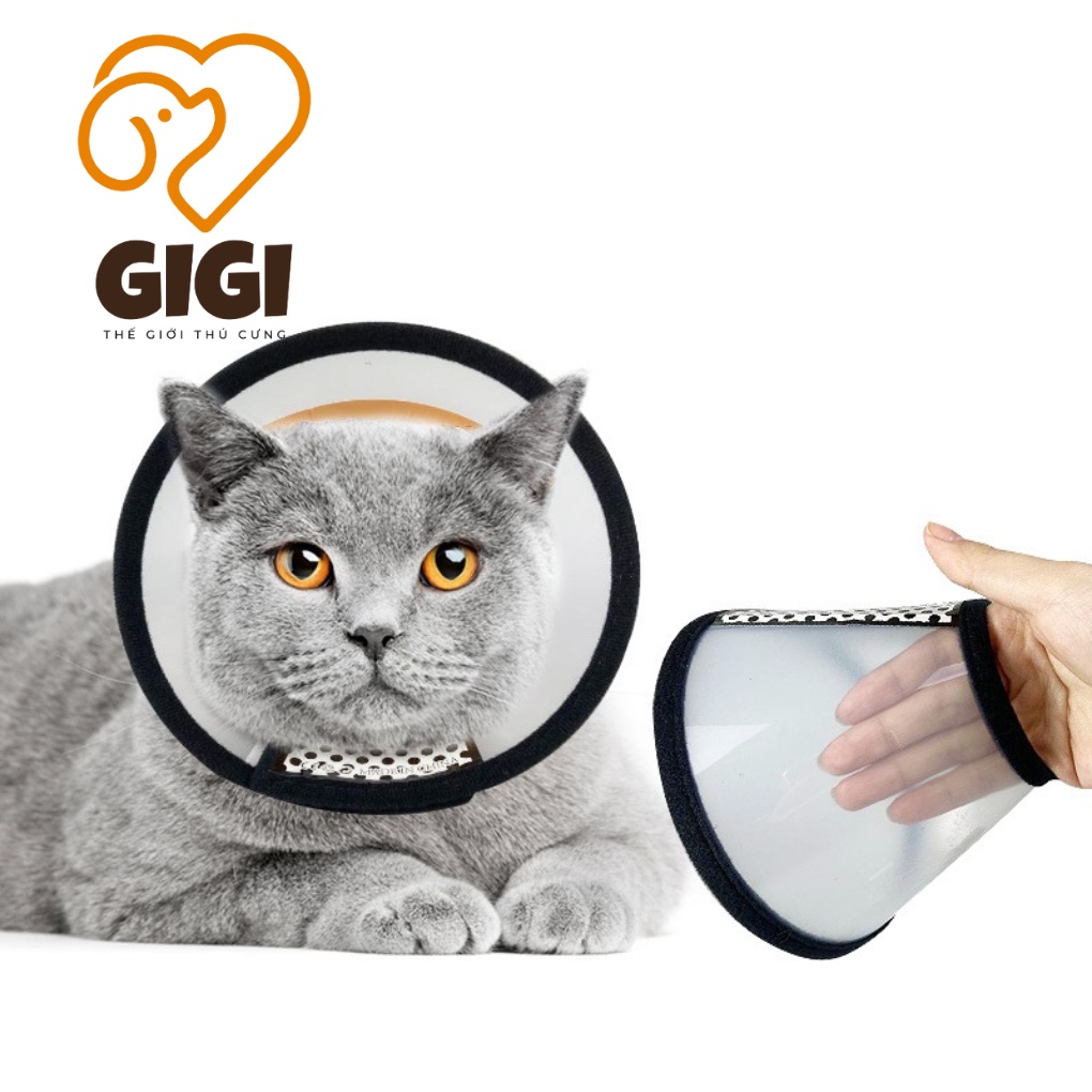 Loa chống liếm thuốc vòng đeo cổ chống cắn bậy cho chó mèo phụ kiện thú cưng giá rẻ - GiGi Pet Shop