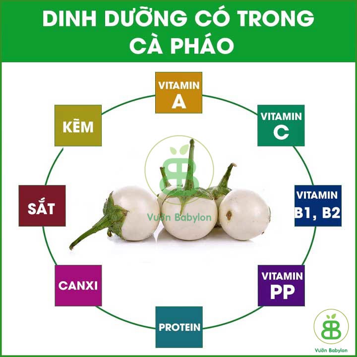 Hạt Giống Cà Pháo Trắng Siêu Giòn, Năng Suất Cao