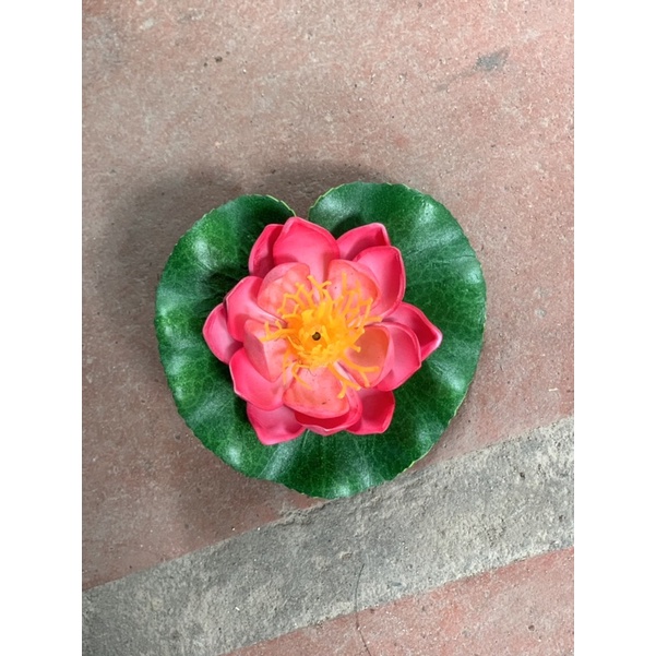 Hoa Sen Thả Bát, Thả Bể Cá