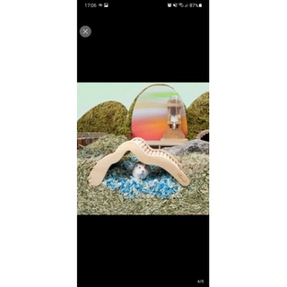 [Niteangle] 🐹Cầu thang gỗ lượn sóng cho hamster🐹