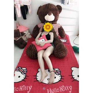 Gấu bông Teddy 1M6