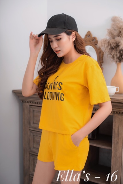 [Khuyến Mãi Sốc] Đồ Mặc Nhà - Cotton 100%- Mua 2 Tặng 1 | BigBuy360 - bigbuy360.vn