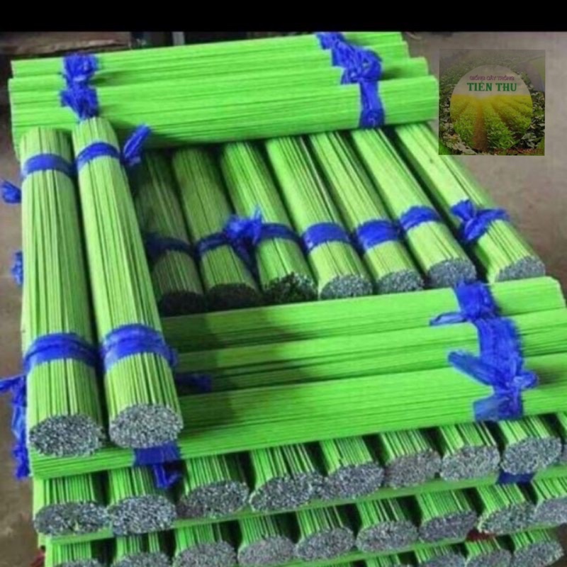 1kg Que lõi thép bọc nhựa chuyên dùng cắm hoa lan cây cảnh 1,2m