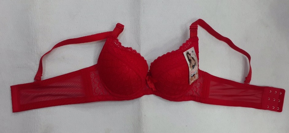 Áo ngực (6040) mút vừa 2cm cài sau 3 móc