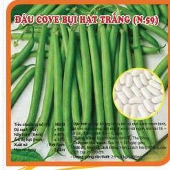 Hạt giống Đậu Cove Lùn hạt trắng_Hạt Đỗ Cove bụi hạt trắng siêu quả
