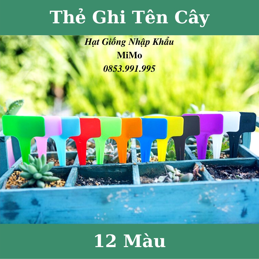 Thẻ ghi tên cây trồng - Đánh dấu thông tin và trang trí cây trồng, decor sân vườn