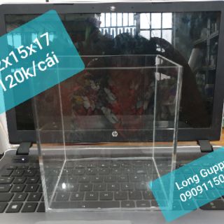 Hồ show cá siêu trong Acrylic