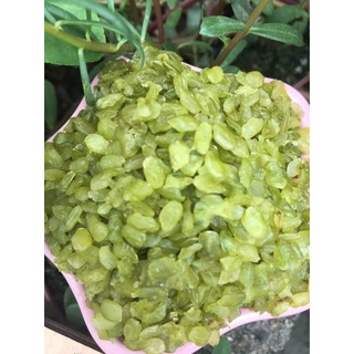 Cốm xanh tây bắc hạt tròn, dẻo gói 1kg