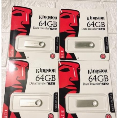 Usb 64Gb Kington Data Se9