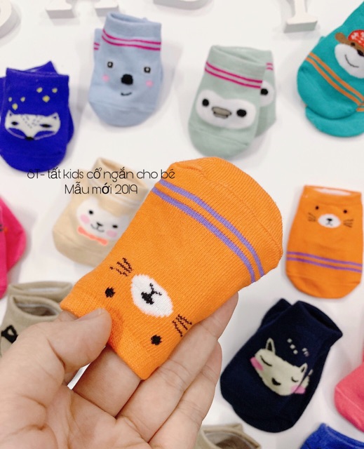 Tất kids cổ ngắn loại 1 mẫu mới 2019 cho bé