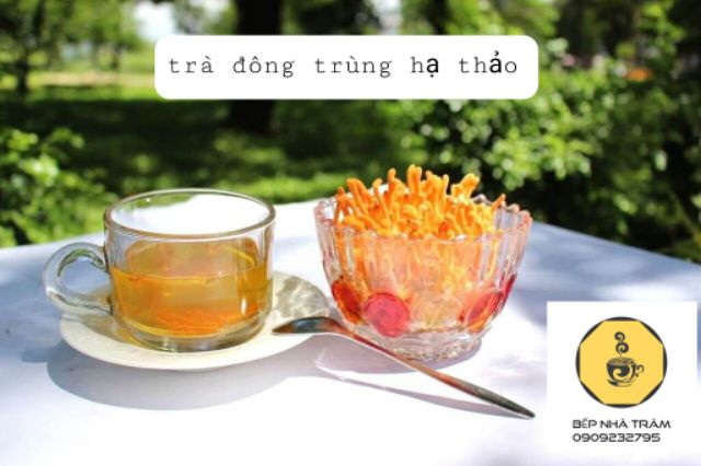 Đông trùng hạ thảo gói 100g