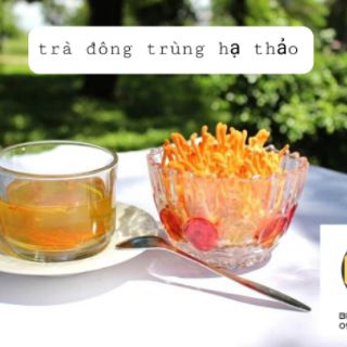 Đông trùng hạ thảo gói 100g