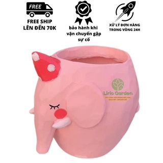Chậu cây voi hồng