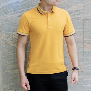 Áo thun nam POLO cổ viền cotton cao cấp sang trọng vàng- Glory A10521VAD