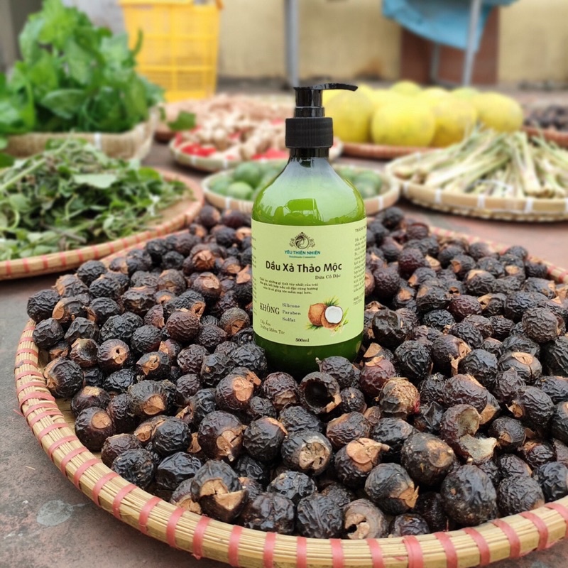 Dầu Gội Bồ Kết Thảo Dược Cô Đặc HandMade 500ML Giúp Sạch Gàu, Giảm Ngứa, Mọc Tóc Hiệu Quả 🔸 Anna Home