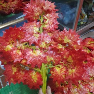 cành phong lá đỏ