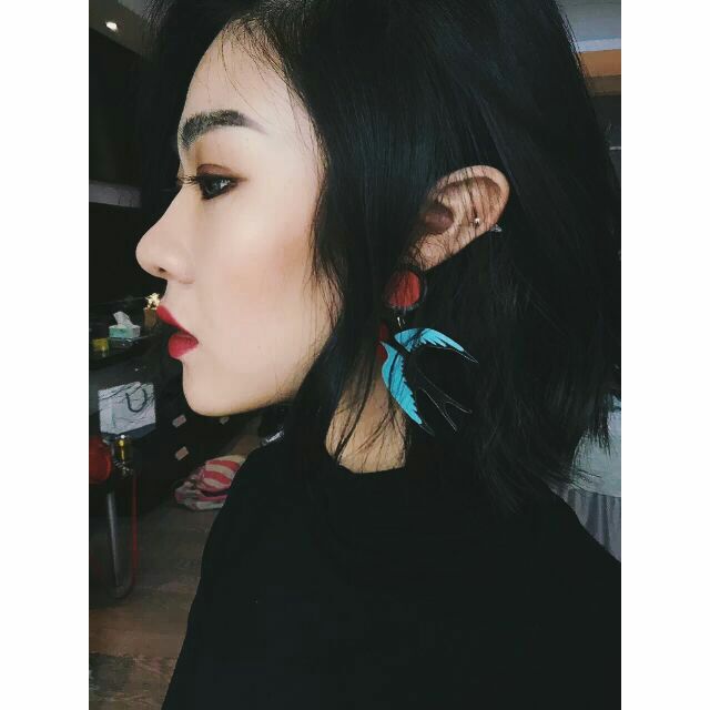 Bông tai chim én