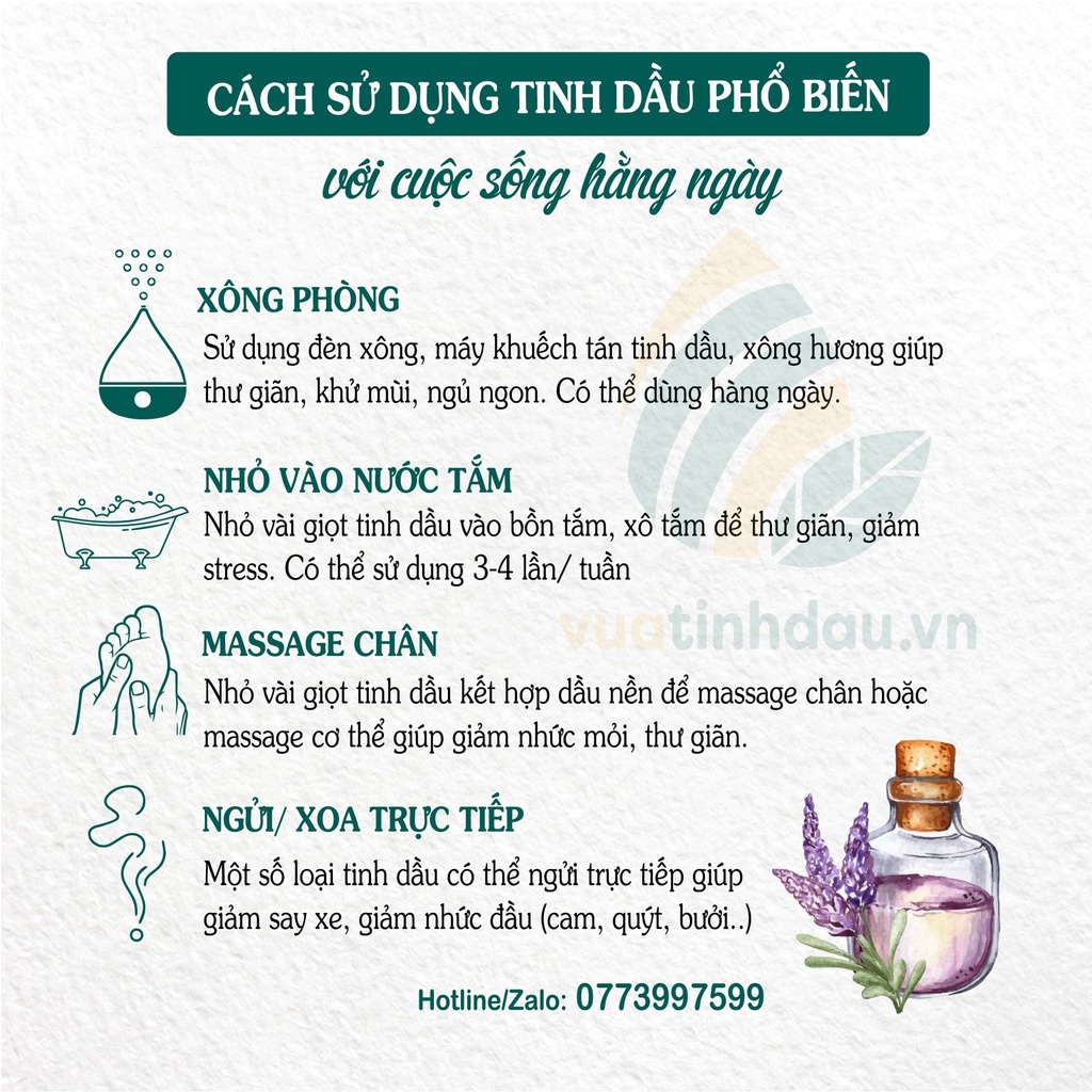 Lọ Tinh Dầu Thiên Nhiên Xông Máy Thơm Phòng 50ml VUATINHDAU Thơm Phòng Khuếch Tán Thơm Phòng Tinh Dầu Thơm Phòng Ngủ Spa