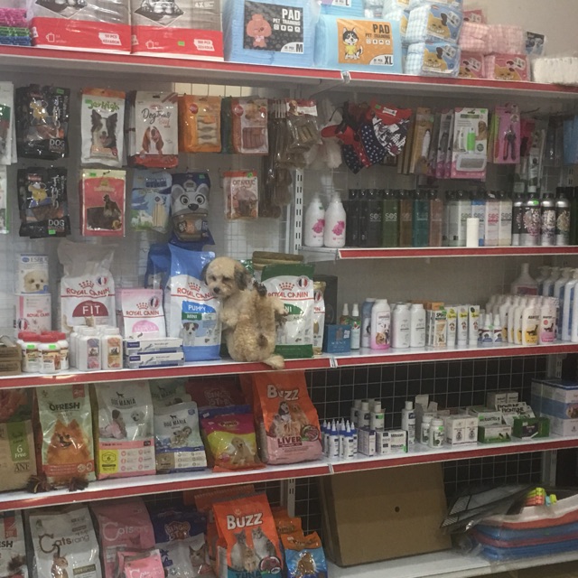 Mpet Shop